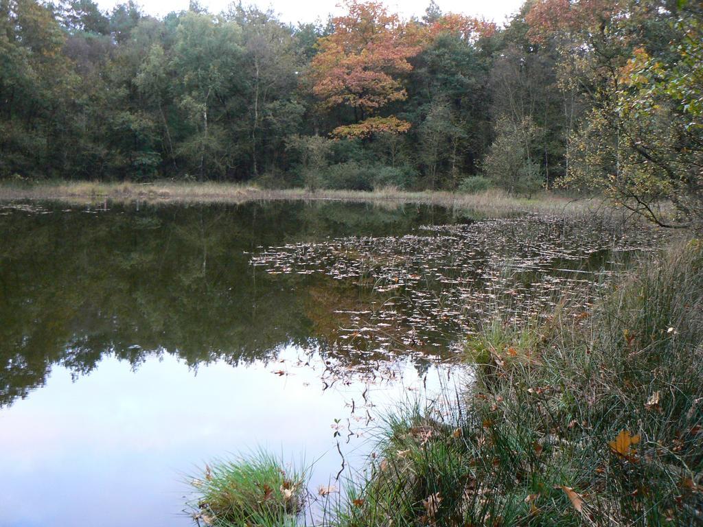 Hoeve Den Anholt Villa Ruinen Esterno foto