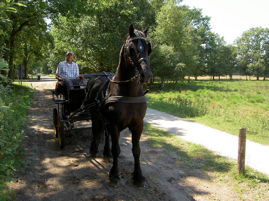 Hoeve Den Anholt Villa Ruinen Esterno foto