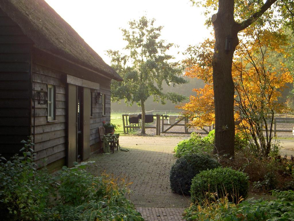 Hoeve Den Anholt Villa Ruinen Esterno foto