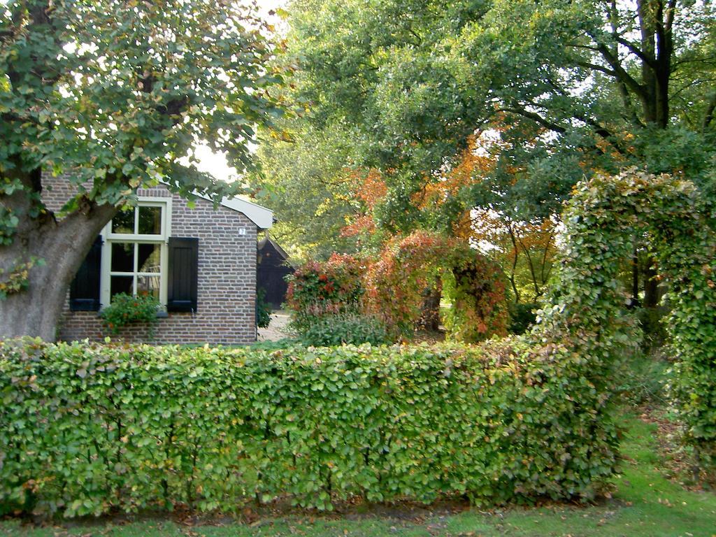 Hoeve Den Anholt Villa Ruinen Esterno foto