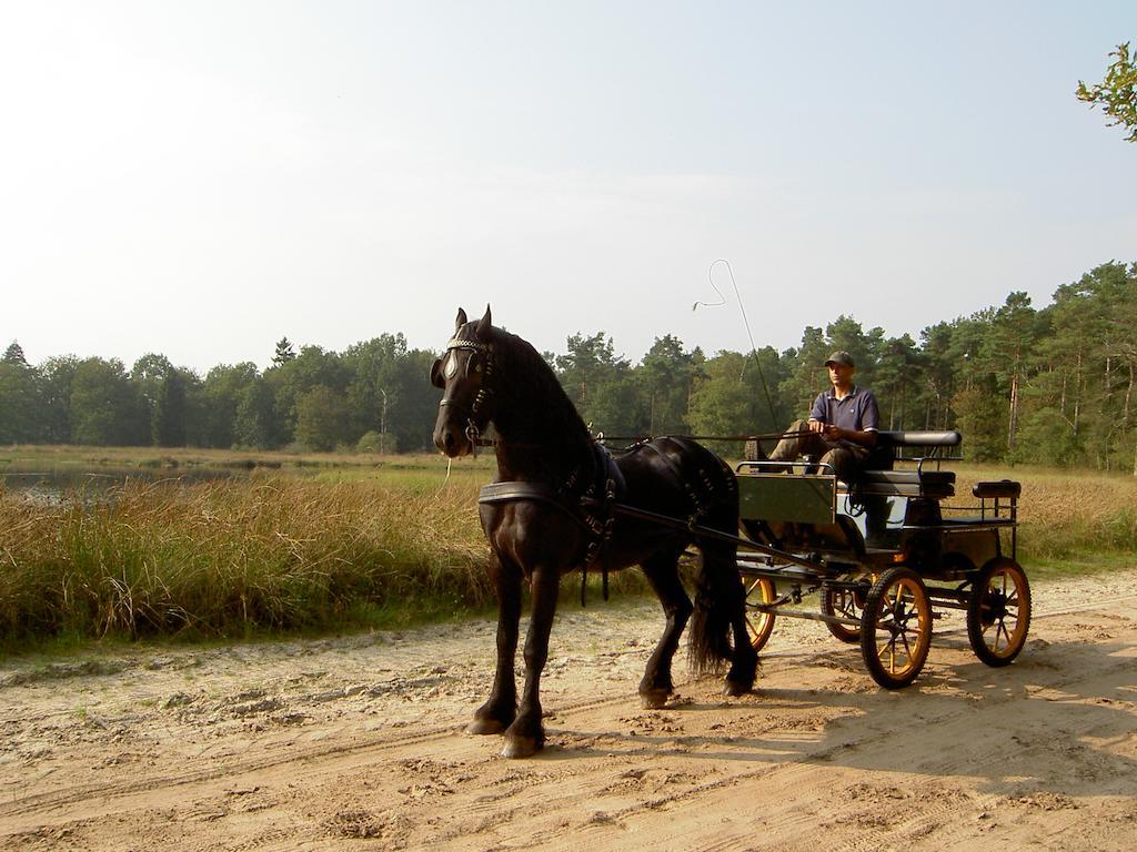 Hoeve Den Anholt Villa Ruinen Esterno foto
