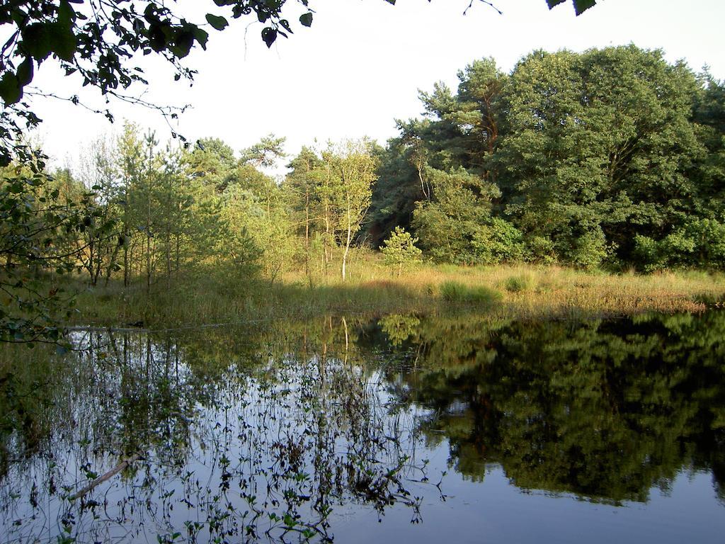 Hoeve Den Anholt Villa Ruinen Esterno foto