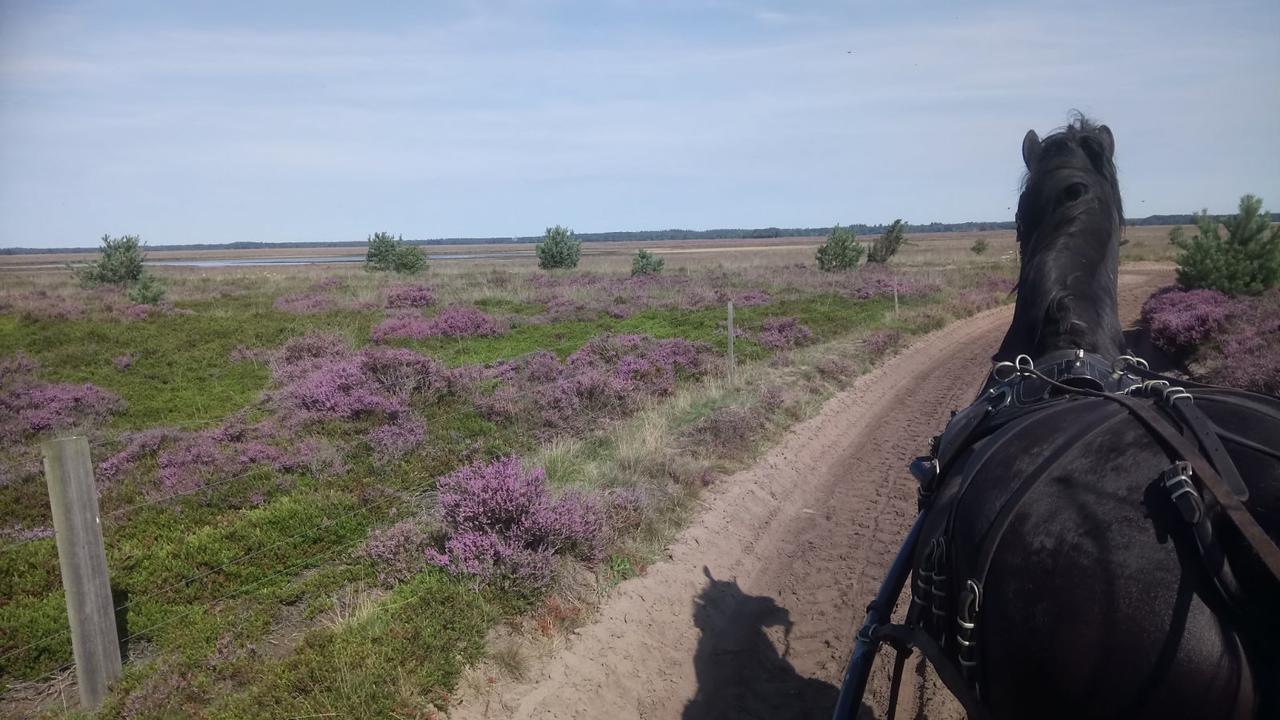 Hoeve Den Anholt Villa Ruinen Esterno foto