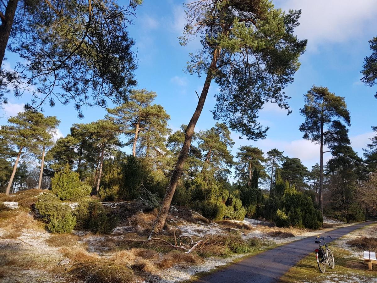 Hoeve Den Anholt Villa Ruinen Esterno foto