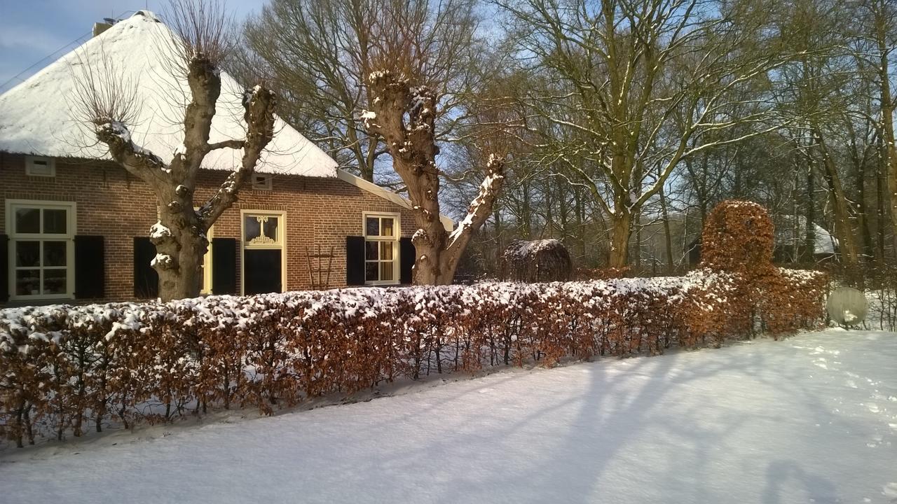 Hoeve Den Anholt Villa Ruinen Esterno foto