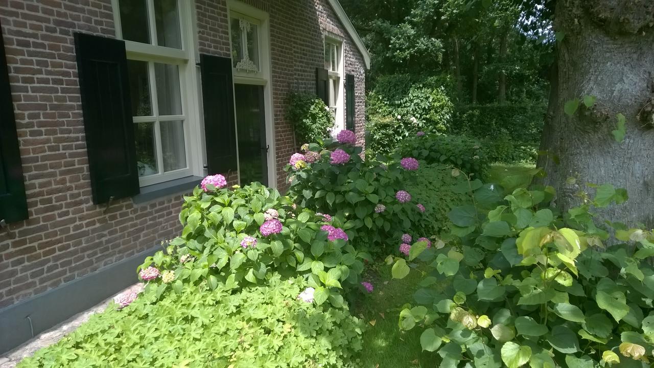 Hoeve Den Anholt Villa Ruinen Esterno foto