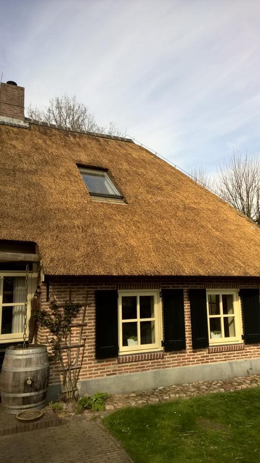 Hoeve Den Anholt Villa Ruinen Esterno foto