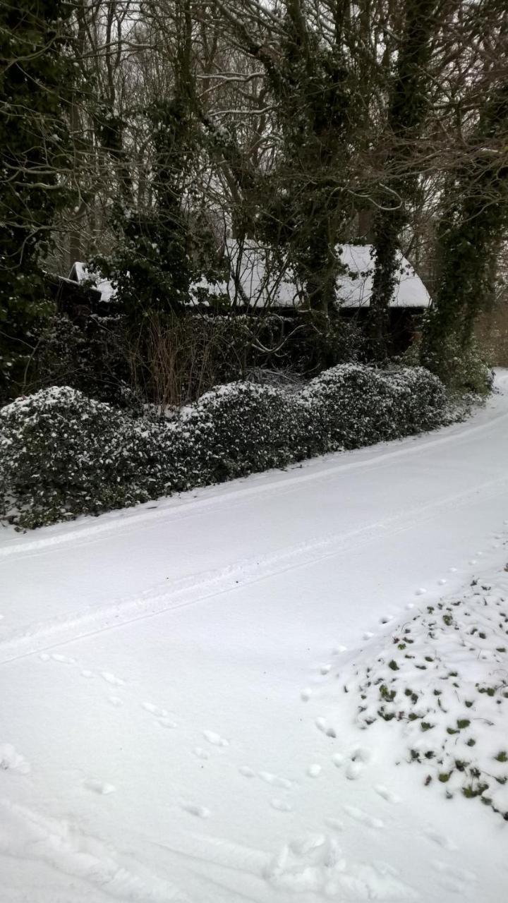 Hoeve Den Anholt Villa Ruinen Esterno foto