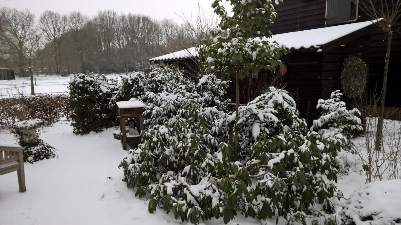Hoeve Den Anholt Villa Ruinen Esterno foto