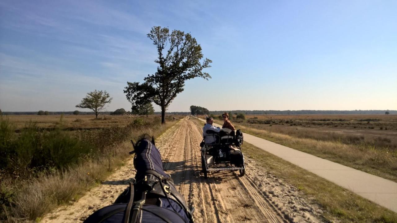 Hoeve Den Anholt Villa Ruinen Esterno foto