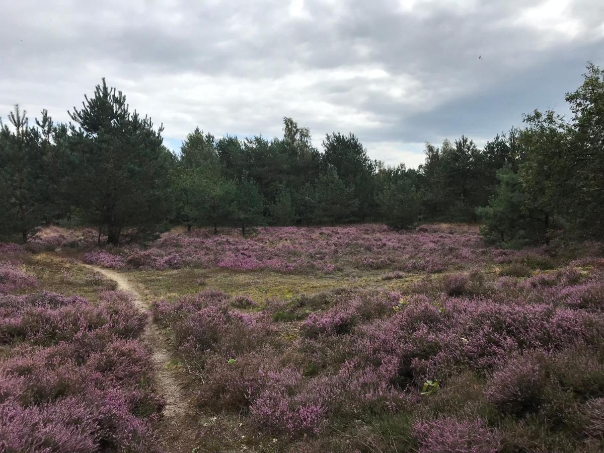 Hoeve Den Anholt Villa Ruinen Esterno foto