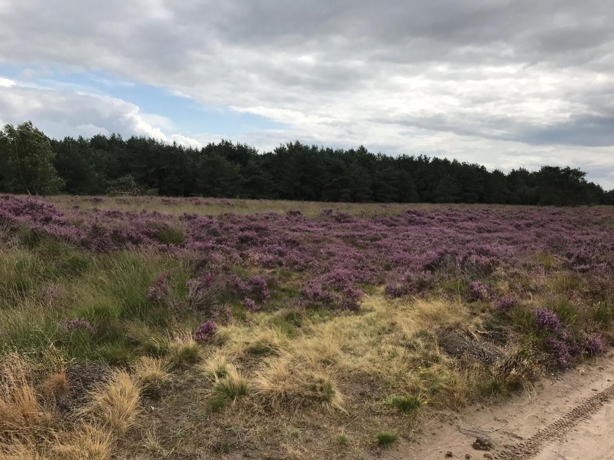 Hoeve Den Anholt Villa Ruinen Esterno foto