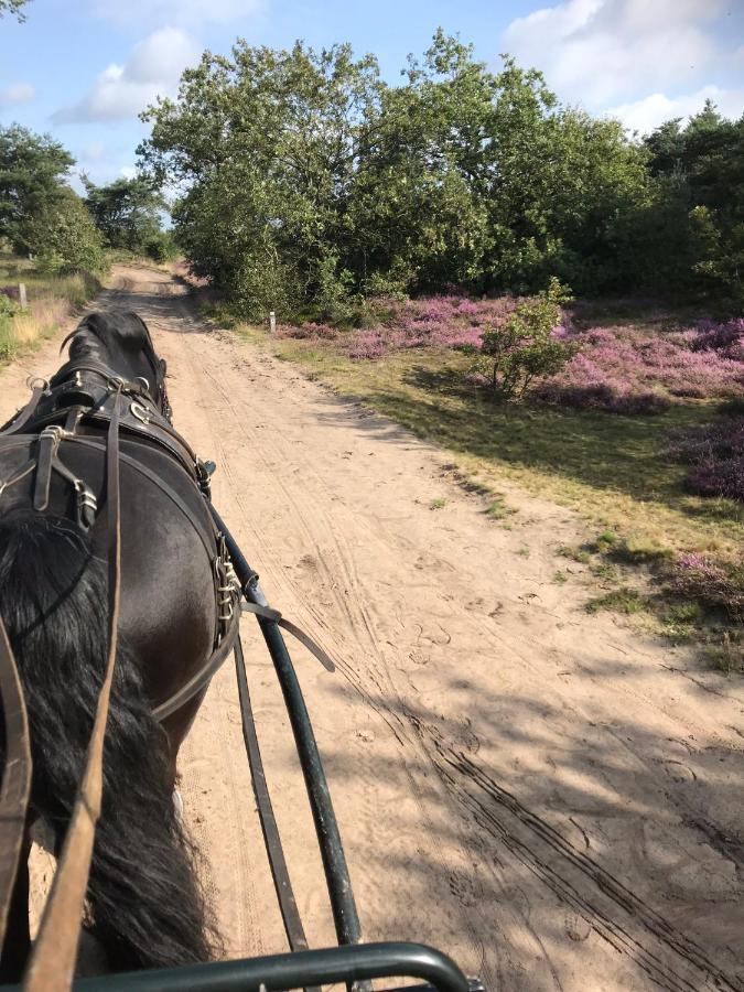 Hoeve Den Anholt Villa Ruinen Esterno foto