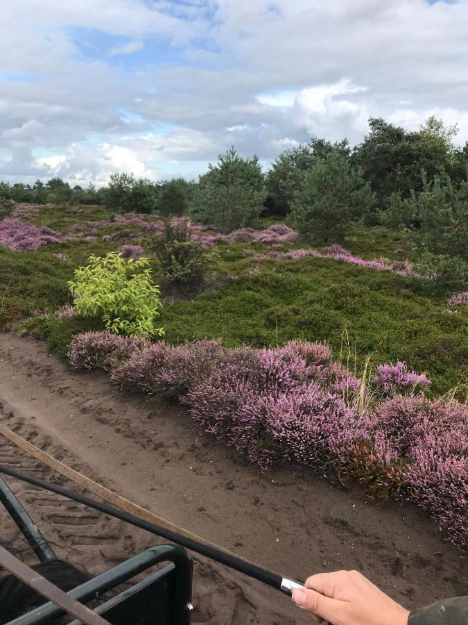 Hoeve Den Anholt Villa Ruinen Esterno foto