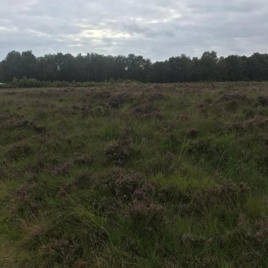 Hoeve Den Anholt Villa Ruinen Esterno foto