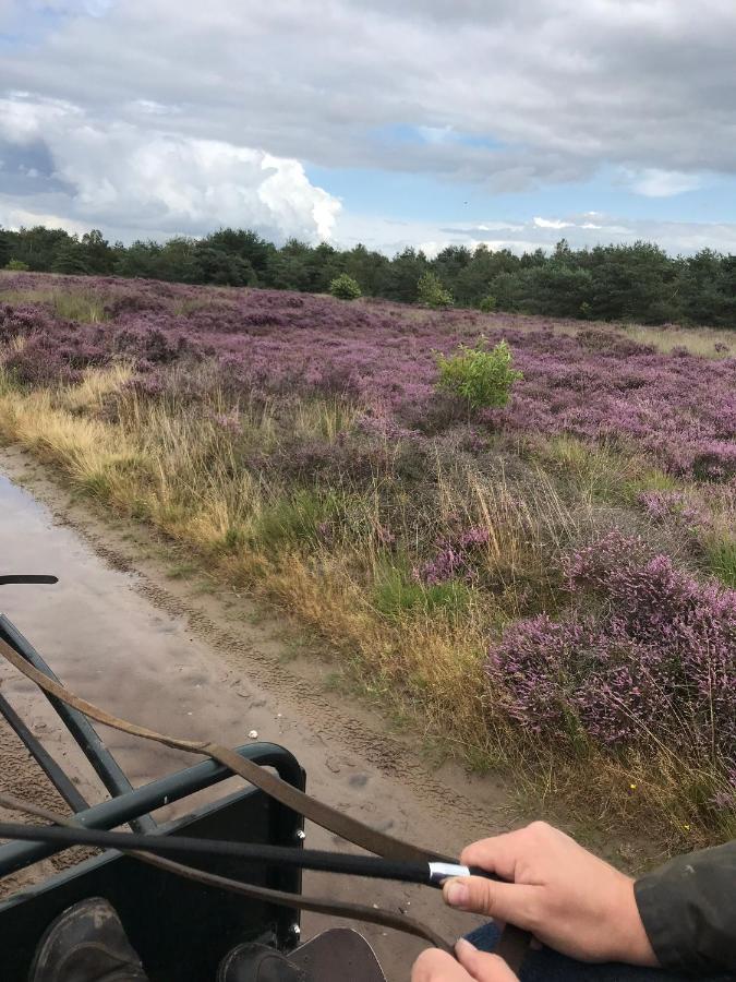 Hoeve Den Anholt Villa Ruinen Esterno foto