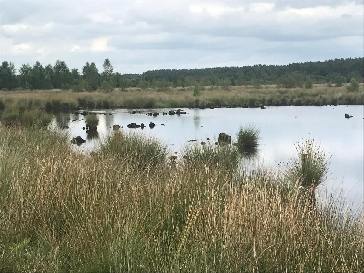 Hoeve Den Anholt Villa Ruinen Esterno foto